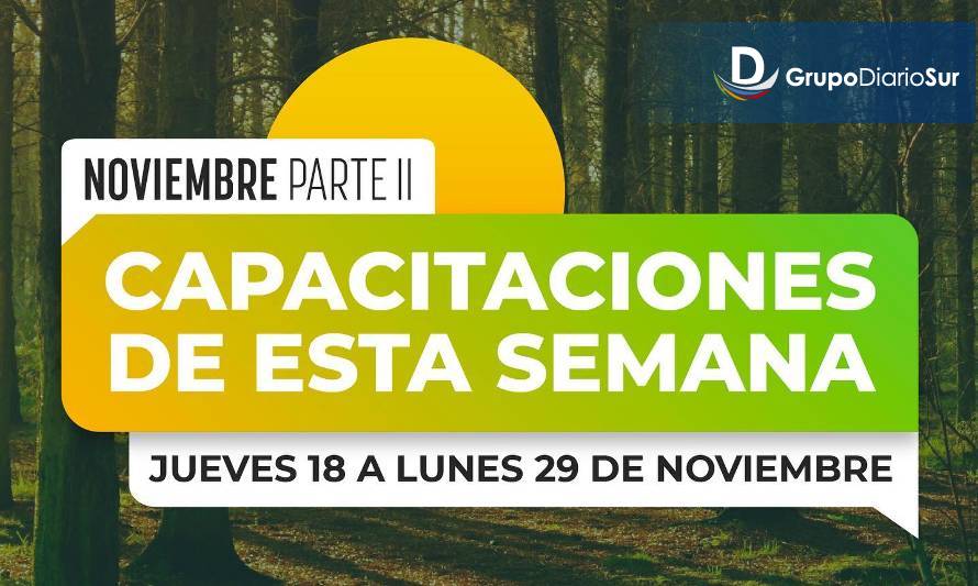 Centro de Negocios Puerto Varas invita a sus talleres para este fin de mes