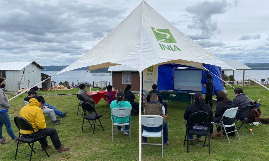 INIA Butalcura organizó taller y día de campo para GTT de semilleristas de papa de Chiloé