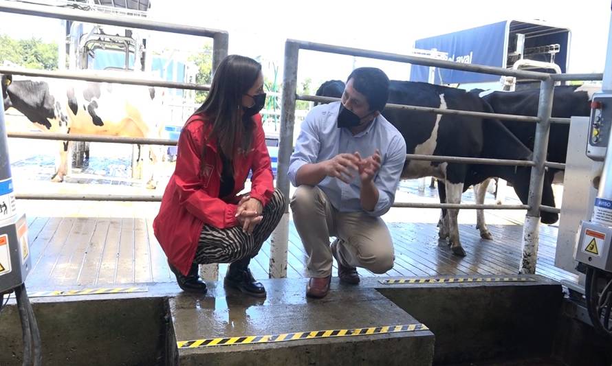 Ministra de agricultura visita proyectos de sustentabilidad de la producción lechera