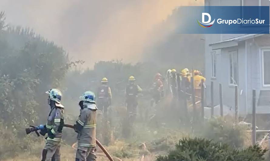 Alerta Roja en Dalcahue por incendio forestal