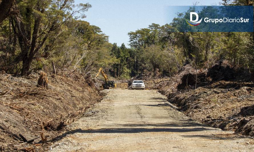 Conaf detectó corta ilegal de bosque nativo en Chiloé
