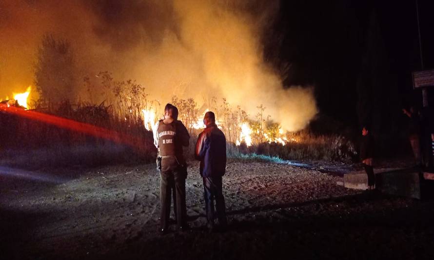 Un hombre murió junto a sus mascotas en incendio en la comuna de Castro 