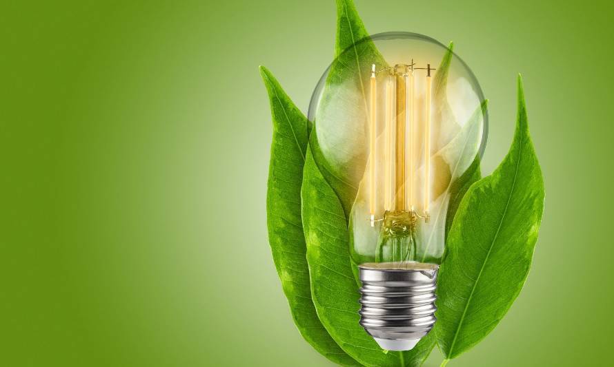 Día Mundial de la Eficiencia Energética: ¿Cómo aportar desde mi hogar?