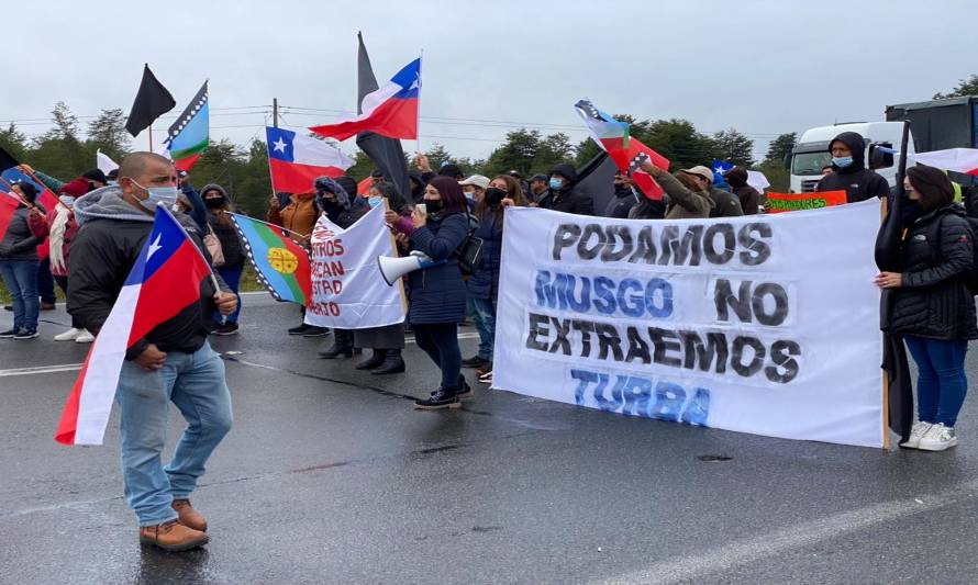 Senador Moreira critica actuar de Delegada Presidencial ante primera crisis