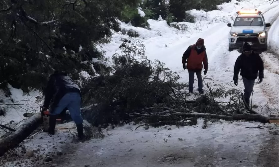 Caída de internet y cortes de energía y rutas por nevazones en provincia de Palena