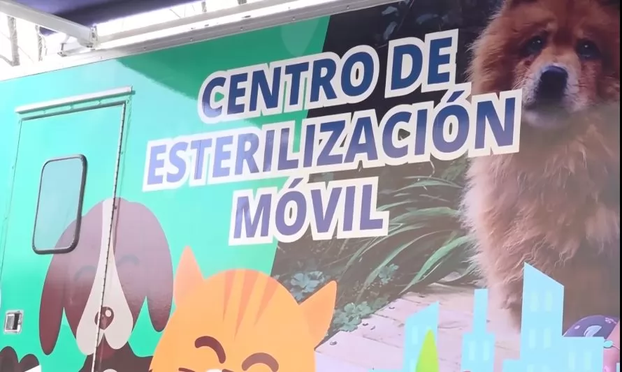 Ponen en servicio clínica de esterilización animal móvil en Puerto Montt