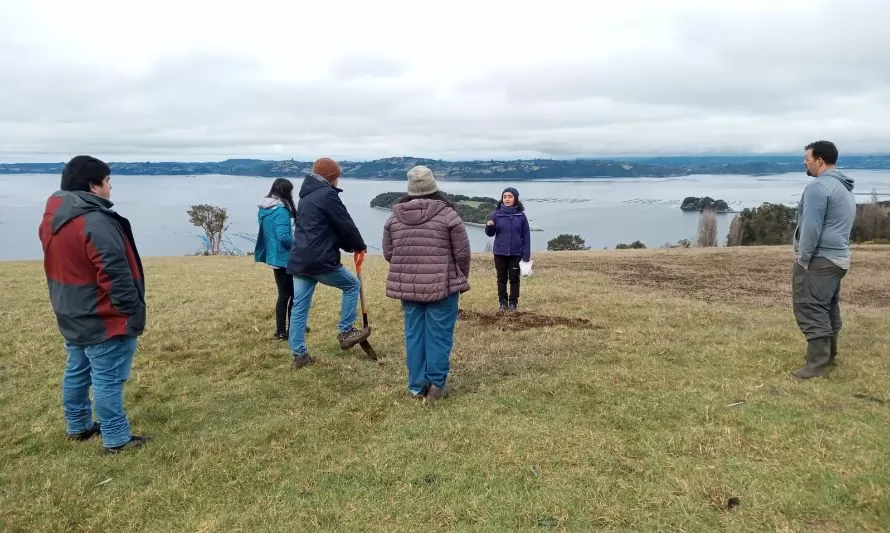 INIA realiza talleres, visitas a predios y días de campo para control biológico de gusano blanco en praderas de Chiloé