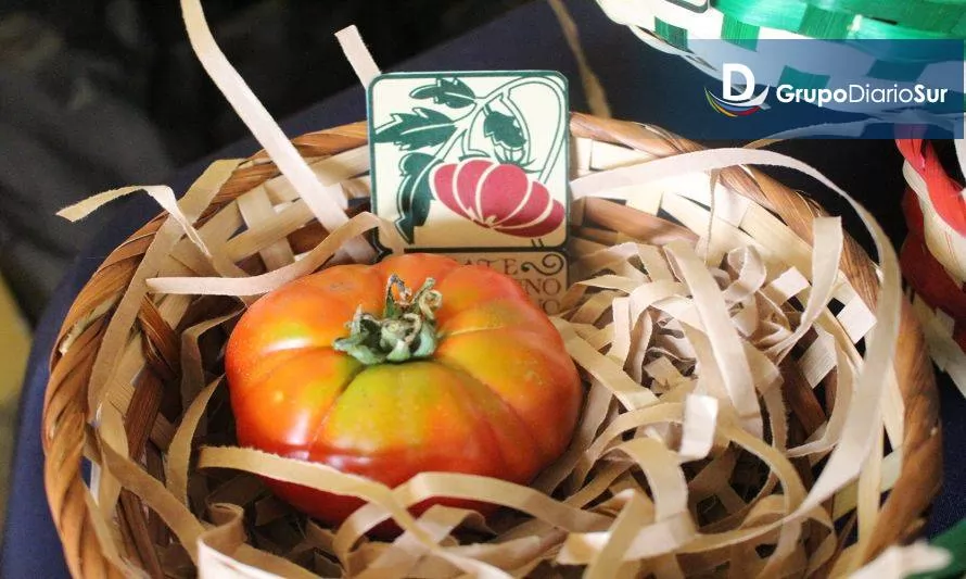 ¿Qué sabemos sobre los tomates del país? Tres investigadores profundizaron en la historia del tomate local limachino