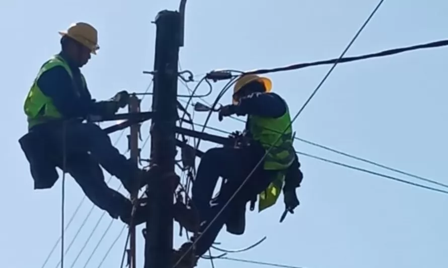 Saesa realizará trabajos de mantenimiento de sus redes eléctricas en Puerto Montt 