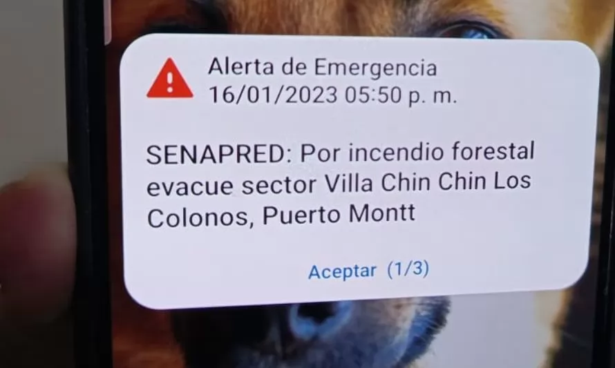 Ordenan evacuación de sectores cercanos a incendio forestal en Puerto Montt