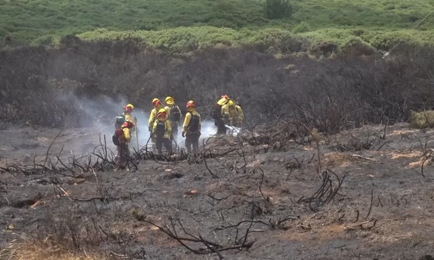 Se mantiene alerta roja por incendios forestales en Puerto Montt