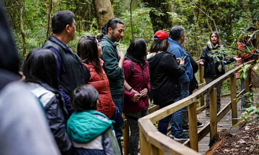 Visitas guiadas por el municipio ponen en valor Monumento Natural Lahuen Ñadi