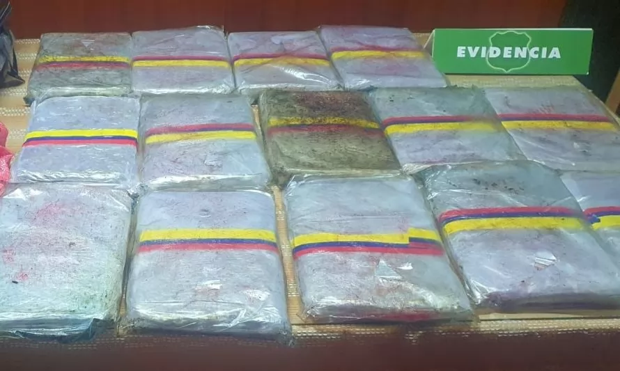 Nuevo decomiso de drogas en la región de Los Lagos