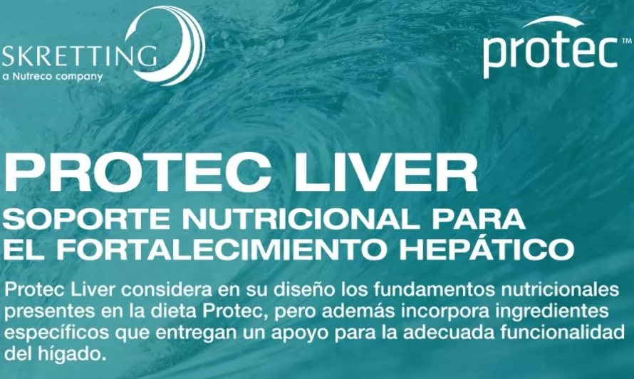 Protec Liver, el soporte nutricional clave para el fortalecimiento hepático de los peces