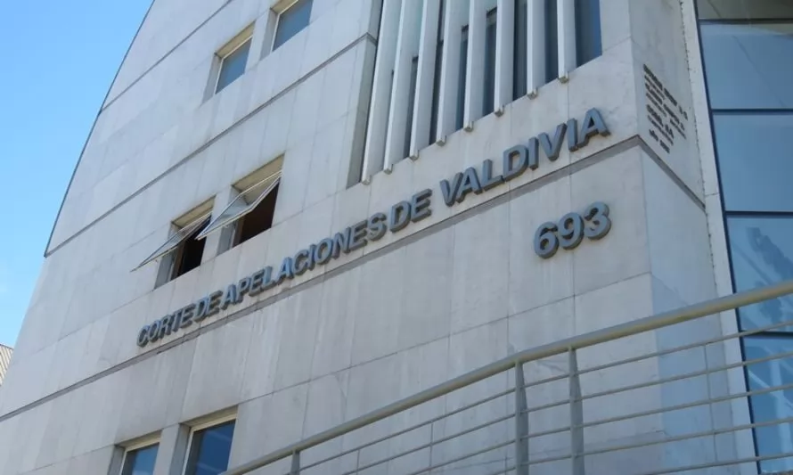 Corte de Apelaciones de Valdivia confirma fallo que condenó a inmobiliaria por tala ilegal de bosque nativo