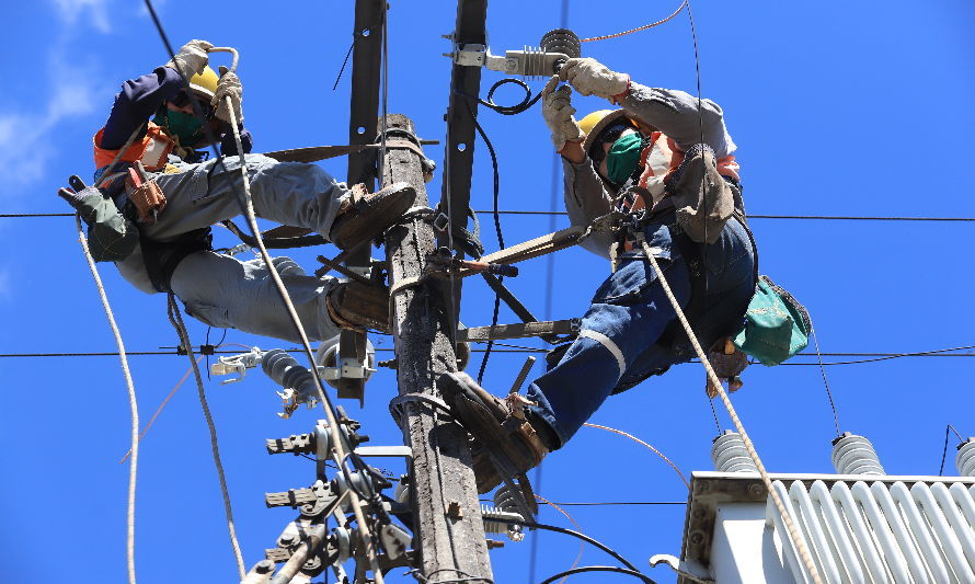 Saesa realizará trabajos de mantenimiento en Los Muermos y Puerto Montt 