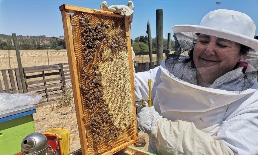 Día Mundial de las Abejas 2023