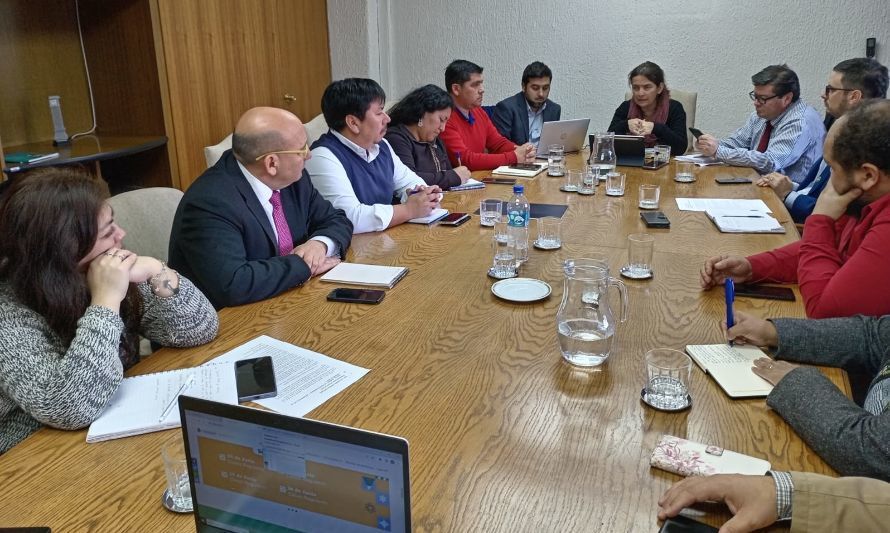 Delegación sostiene encuentro con Subsecretaria por crisis de la educación en Chiloé