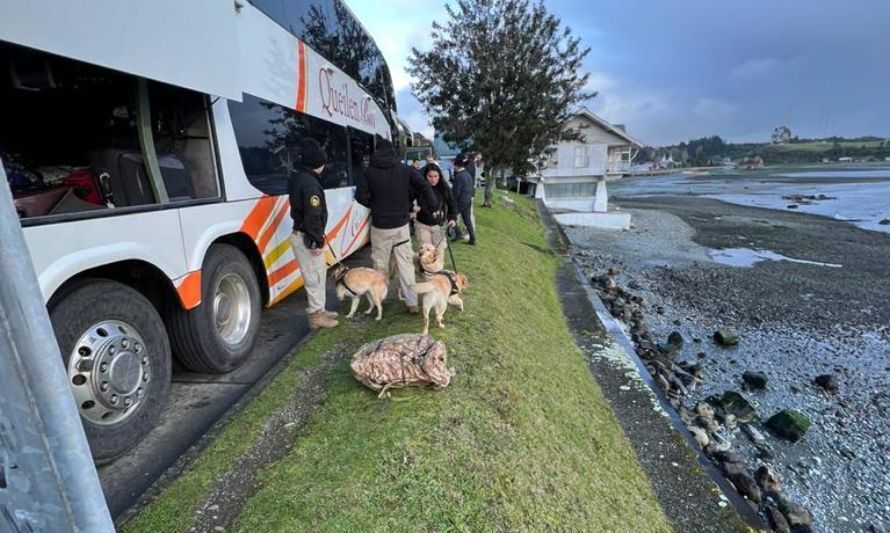 PDI detiene a pareja que fue sorprendida con droga en Chiloé