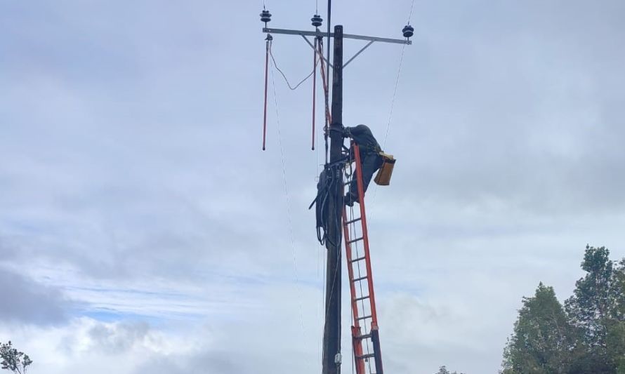 Saesa realizará trabajos para fortalecer su red eléctrica en sectores rurales de Puerto Montt