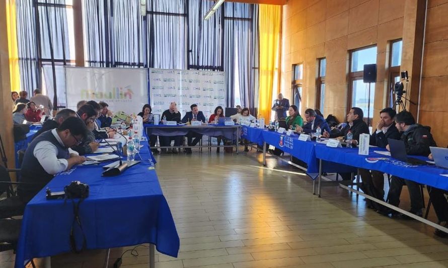 CORE Los Lagos aprueba nuevos vehículos para combatir el delito de abigeato en la Provincia de Llanquihue