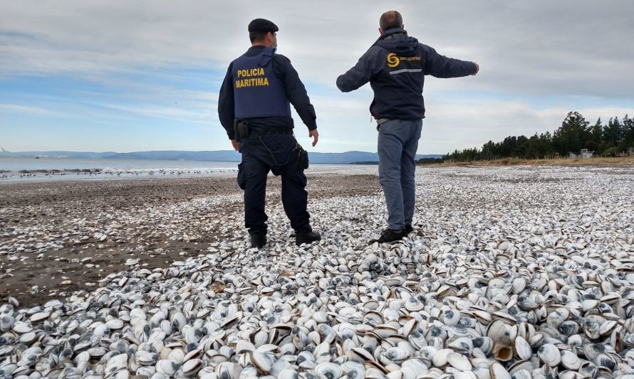 Coordinan a organismos públicos y privados por fenómeno El Niño