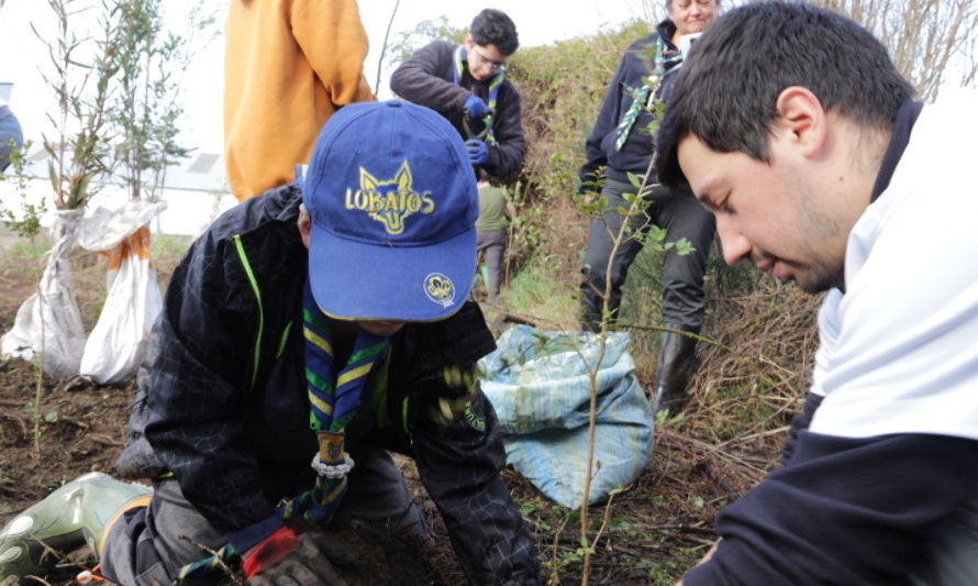 Cecinas Llanquihue dona más de 500 árboles nativos para reforestación de humedales