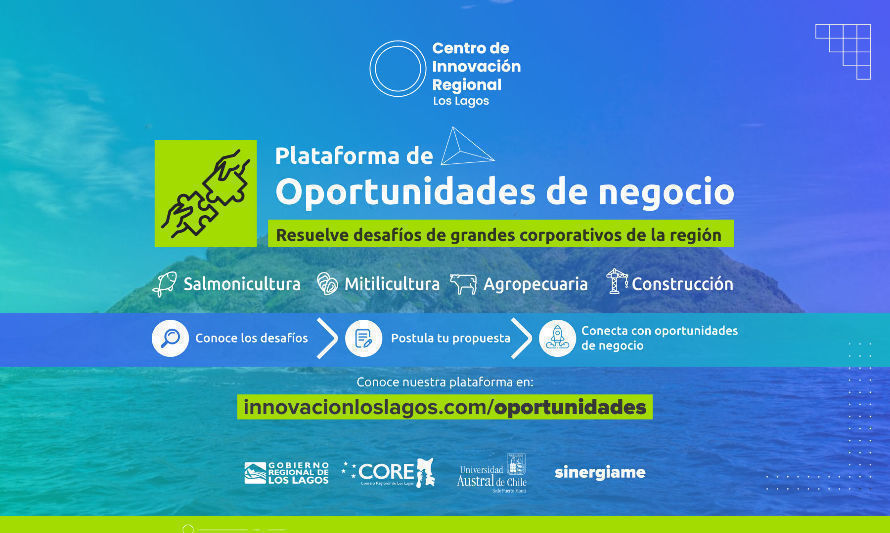 Lanzan plataforma gratuita con desafíos y oportunidades de negocios para Los Lagos