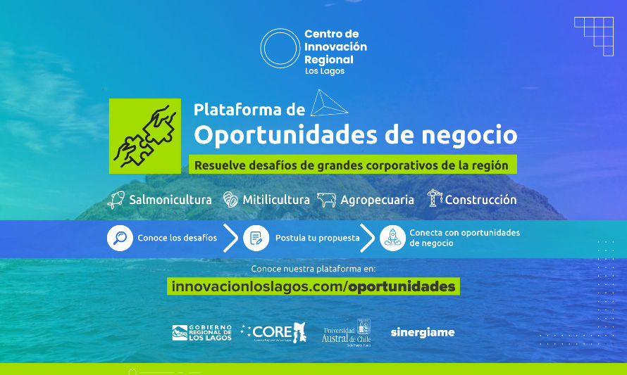 Lanzan plataforma gratuita con desafíos y oportunidades de negocios para Los Lagos