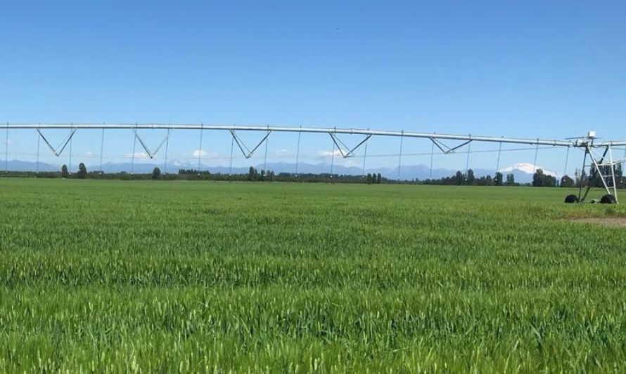 INIA anuncia plan de modernización predial a nivel nacional