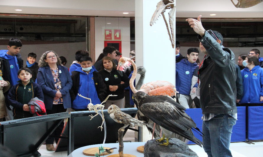 Exposición itinerante “Dinosaurios más allá de la extinción” está abierta en Puerto Montt hasta el 1 de octubre