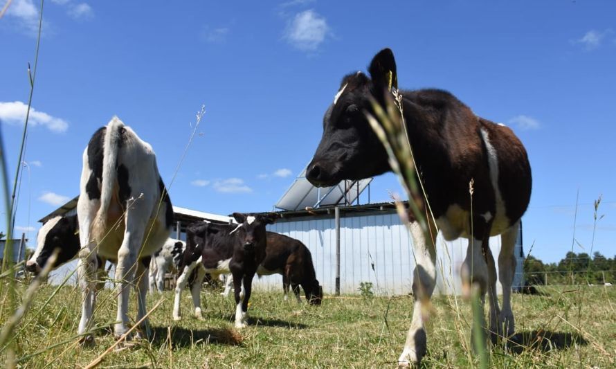 Minagri insta a agricultores a proteger sus cultivos ante riesgos climáticos