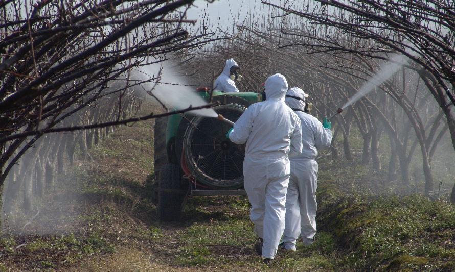 SAG apuesta por el uso de plaguicidas a base de extractos naturales