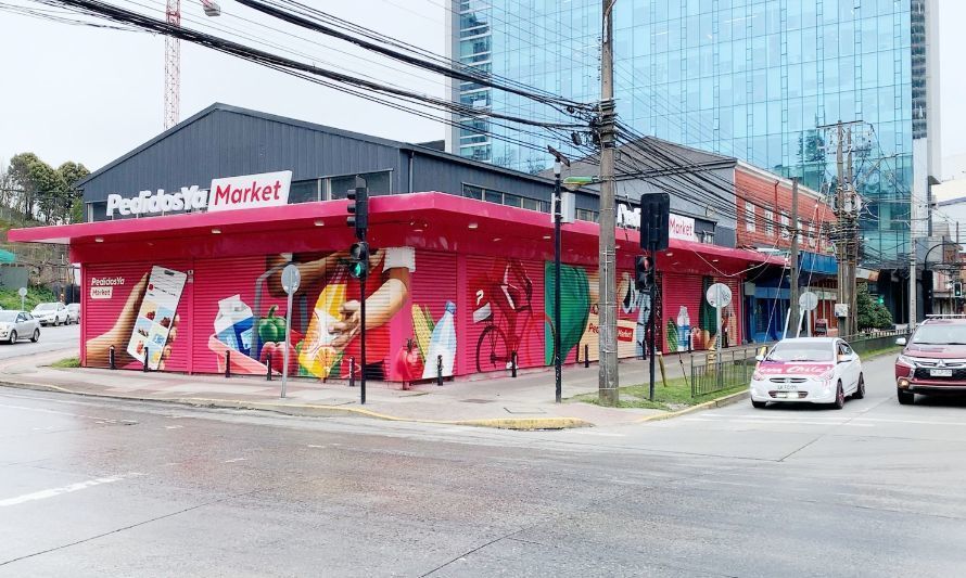 Artista pinta mural en Puerto Montt para generar recuperación urbana