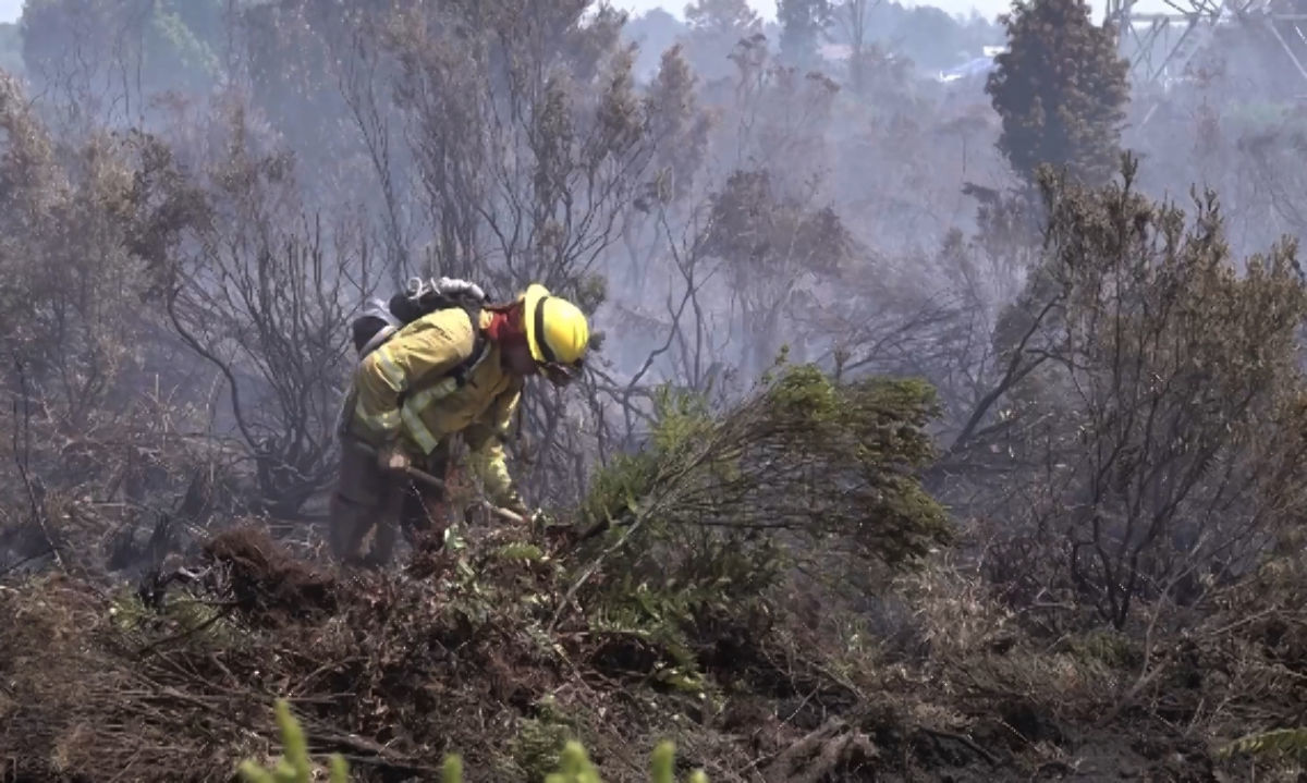 Incendios forestales: Cómo prevenir sus efectos en la salud