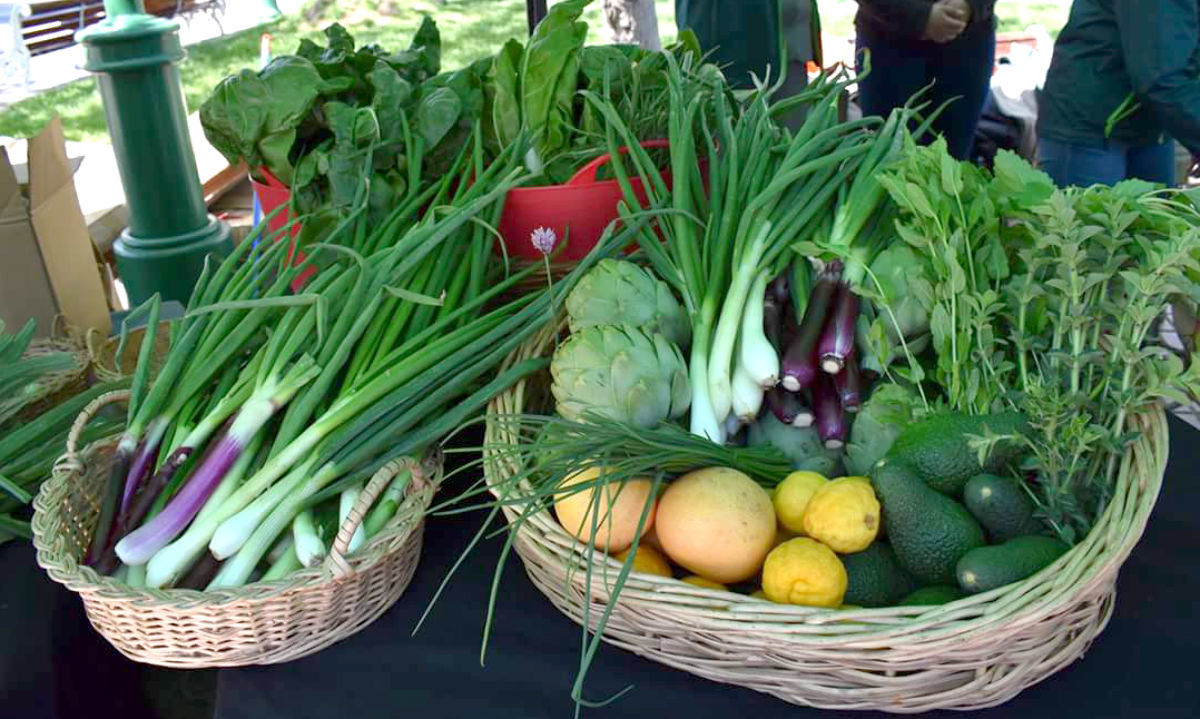 SAG promueve el consumo de productos orgánicos
entre estudiantes