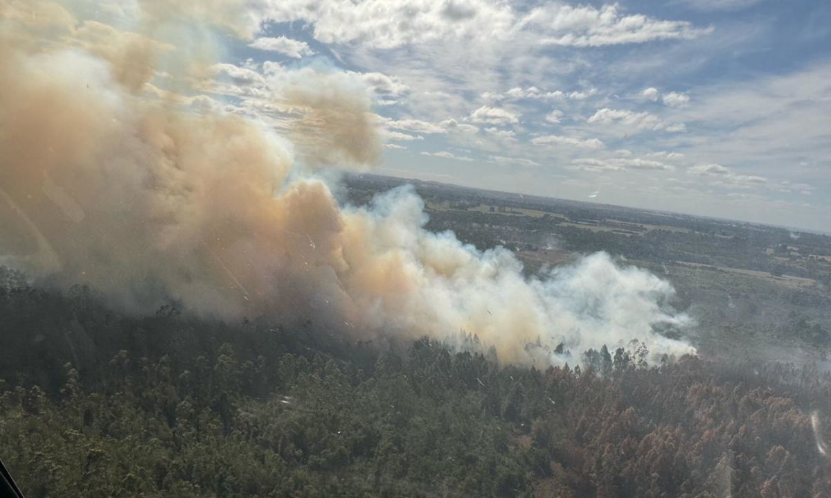 Sobre 5 mil millones de pesos ha destinado CONAF en combate de incendios en la región