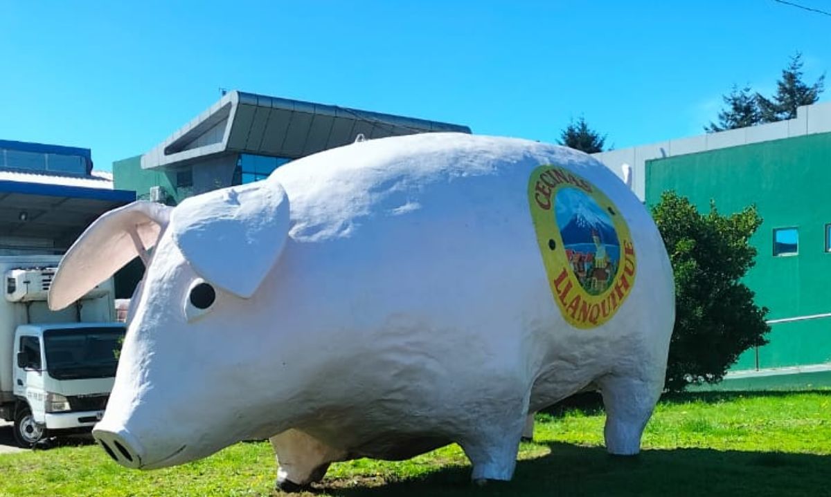 Cecinas Llanquihue vuelve a ser auspiciador de Deportes Puerto Montt