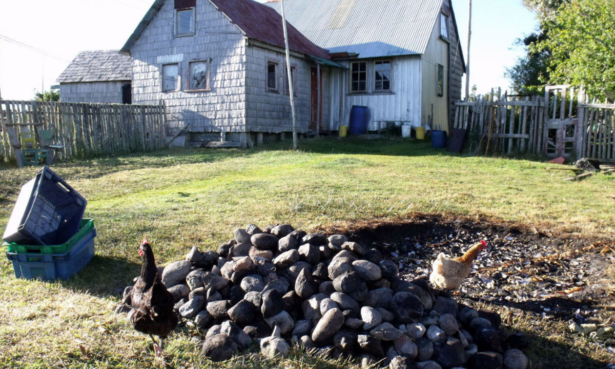 Curantos son analizados en libro sobre patrimonio arqueológico de las provincias de Llanquihue y Chiloé