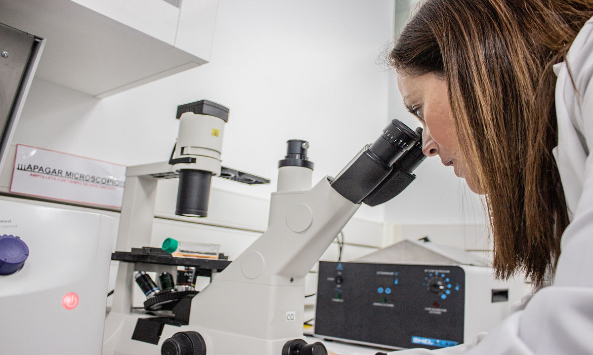 Proyecto UACh evaluará nueva estrategia para potenciar tratamiento de tumor cerebral