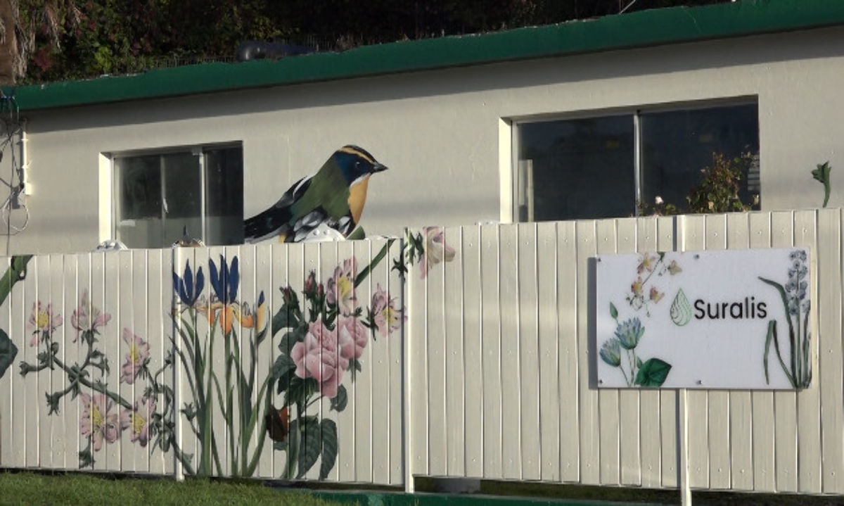 Inauguran mural por el cuidado de los lagos en estanque de tormenta en Puerto Varas