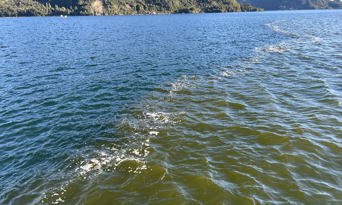 Investigadores del Centro i~mar analizan floración algal nociva en Hornopirén