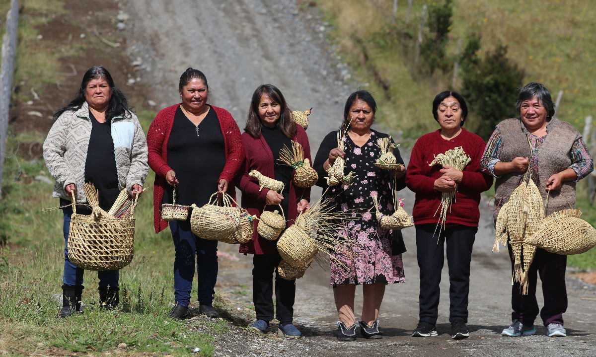 Agricultoras de la Región de Los Lagos participarán en la ExpoMundoRural INDAP 2024 en Santiago