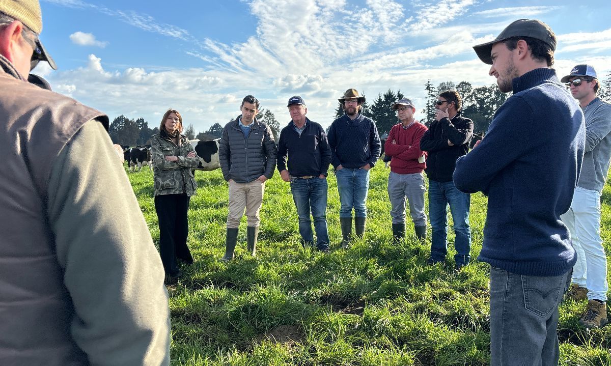 Productores participan en día de campo sobre preparto y crianza de terneros