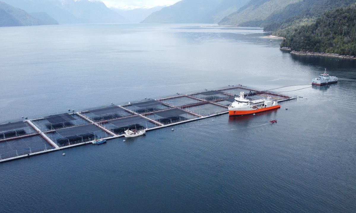 Salmoclinic desarrolla tecnología única en el mundo para evitar la contaminación marina por antiparasitarios