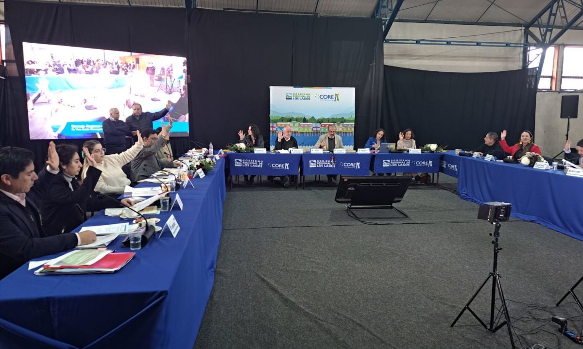 Consejo Regional aprueba recursos para servicio de buses eléctricos en Puerto Varas