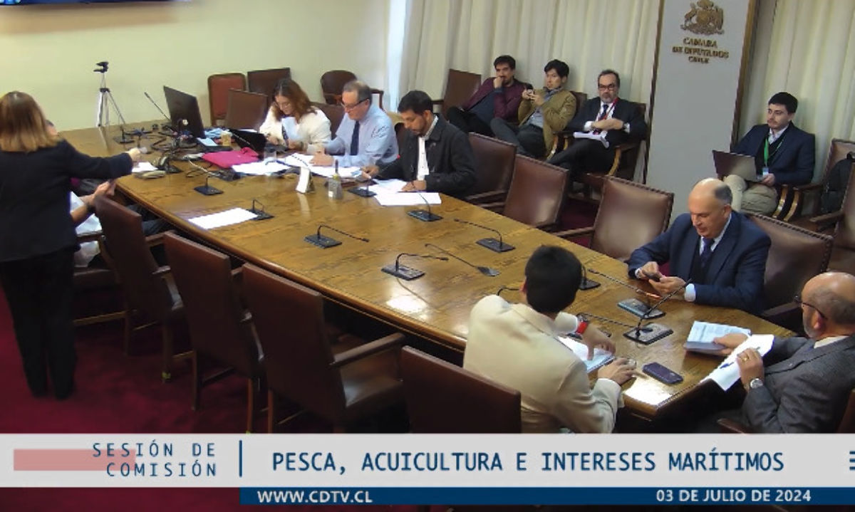 “Peces pensantes y capaces de jugar futbol”: El análisis de la comisión de pesca del congreso que se transformó en meme 