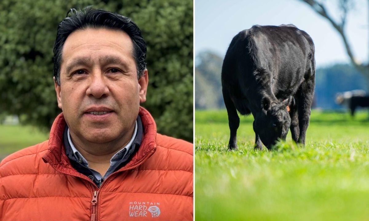 Ventajas de estar asociado a la Cooperativa de la Carne de la Región de Los Ríos (Coopcarne)