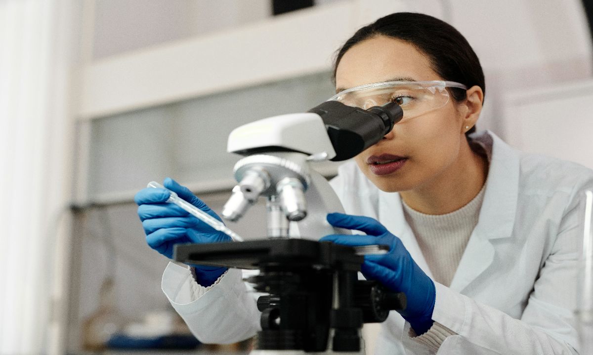 Mentorías: El programa de ULagos que impulsa el desarrollo académico y disminuye las brechas de género en investigación