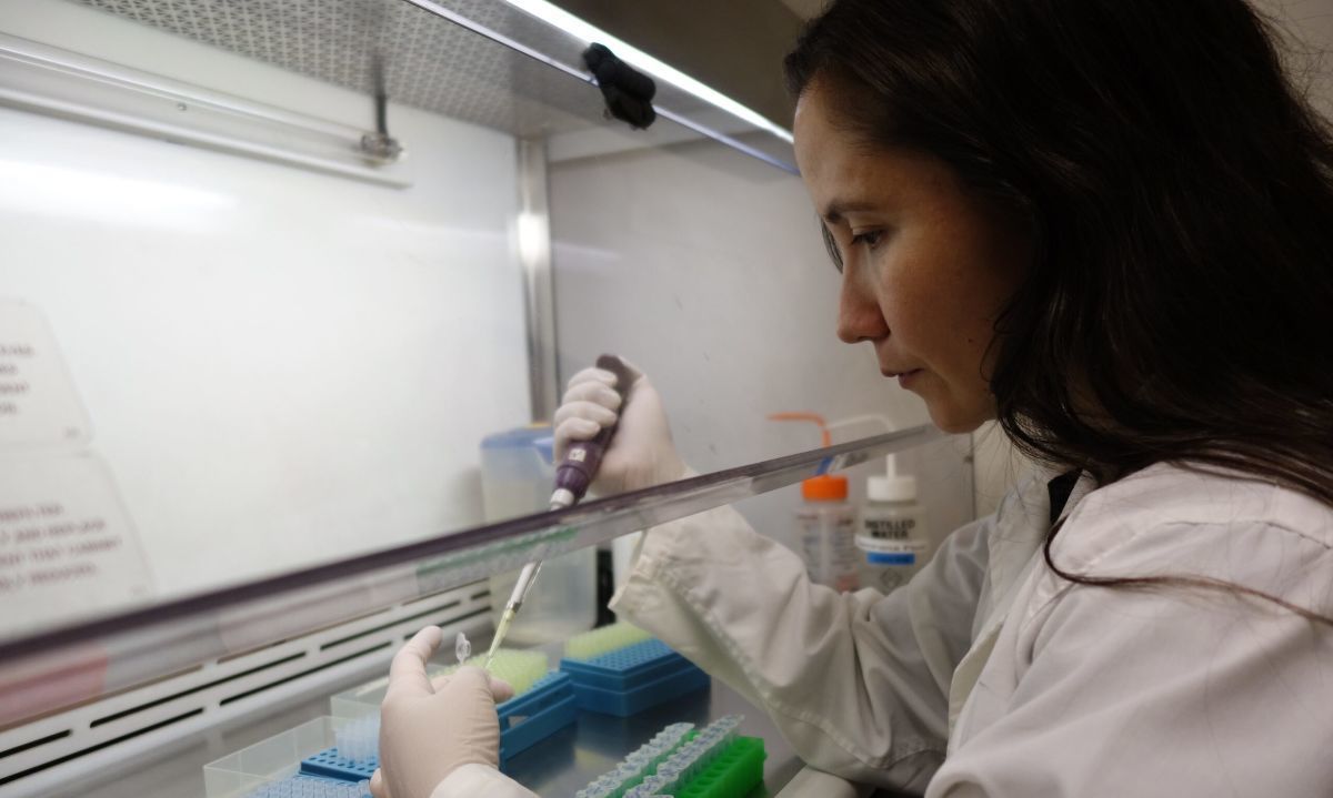 Con el objetivo de reducir las brechas de género, Universidad de Los Lagos lanza concurso “Líneas de Apoyo”